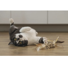 Spielende Katze mit Katzenspielzeug auf dem Boden