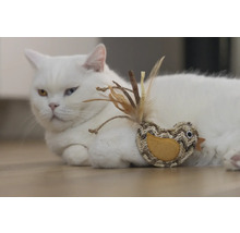 Weiße Katze liegt mit Vogel-Spielzeug