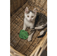 Eine Katze liegt in einem geflochtenen Korb und spielt mit einem grünen Spielzeugblatt.