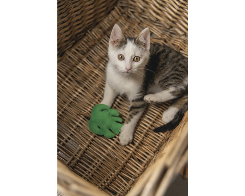 Eine Katze liegt in einem geflochtenen Korb und spielt mit einem grünen Spielzeugblatt.