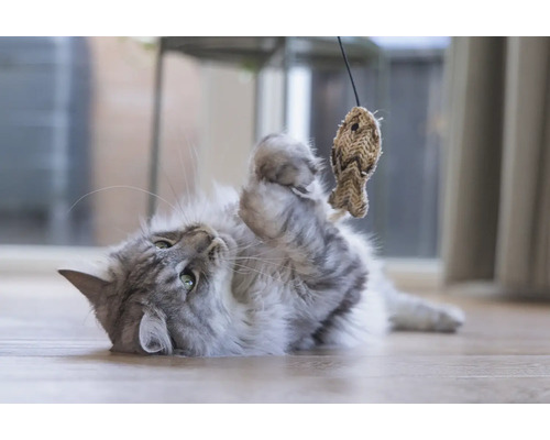 Verspielte Katze mit Fischspielzeug auf dem Boden