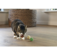 Eine getigerte Katze trägt einen Spielzeugball im Maul, mit weiteren Spielzeugbällen auf einem Holzboden.