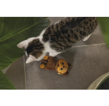 Katze mit Affen-Spielzeug auf dem Boden