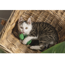 Eine gestreifte Katze mit Spielzeugschlange in einem Korb.