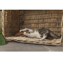 Katze spielt mit einem Spielzeug in einem Weidenkorb