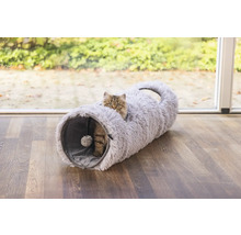 Katze in einem Katzentunnel auf einem Holzboden