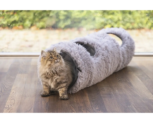 Katze vor einem grauen Katzentunnel auf Holzboden