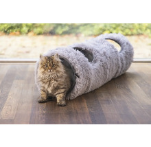 Katze vor einem grauen Katzentunnel auf einem Holzboden