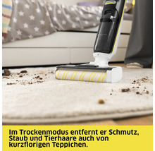 Akkusauger entfernt Schmutz und Tierhaare von einem Teppich