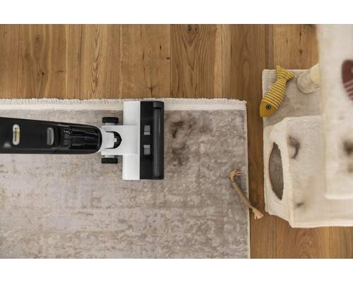 Aufsicht auf einen Staubsauger, der einen Teppich reinigt, neben dem ein Kratzbaum steht.