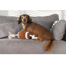 Dackel sitzt mit Spielzeug-Football auf einem grauen Sofa.