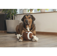 Hund liegt mit einem Football-Spielzeug auf dem Boden