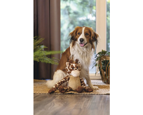 Hund sitzt mit einem Giraffen-Stofftier auf einem Teppich