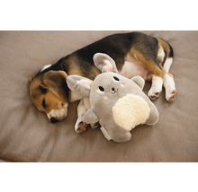 Schlafender Beaglewelpe mit Hasenkuscheltier