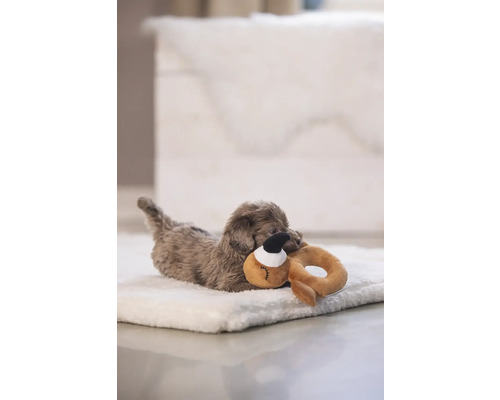Kleiner Hund liegt auf einem Hundebett und spielt mit einem Spielzeug.