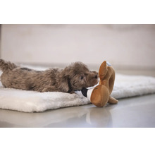 Brauner Welpe mit Spielzeug auf einer weichen Unterlage