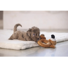 Ein Welpe liegt auf einer weichen Decke und spielt mit einem Stofftier.