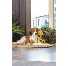 Hund liegt mit Spielzeug-Giraffe auf einem Teppich