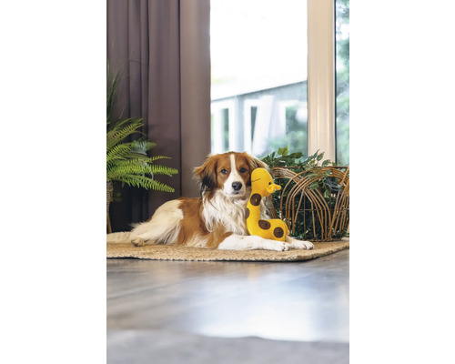 Hund liegt mit Spielzeug-Giraffe auf einem Teppich