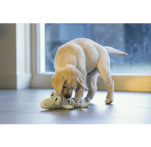 Ein Labradorwelpe spielt mit einem Krokodil-Stofftier.