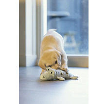 Ein junger Labrador spielt mit einem Plüschtier-Alligator im Haus.