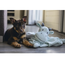 Ein Welpe liegt neben einem Stofftier auf dem Boden.