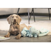 Weimaraner Welpe liegt mit Nilpferd Stofftier auf dem Boden