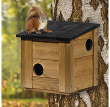 Eichhörnchenhaus aus Holz mit schwarzem Dach, montiert an einem Baum mit einem Eichhörnchen auf dem Dach