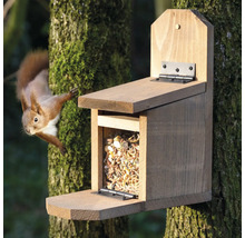 Holzfutterhaus für Eichhörnchen mit Futter und einem Eichhörnchen an einem Baum
