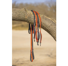 Mehrere Hundeleinen hängen an einem Baumstamm.