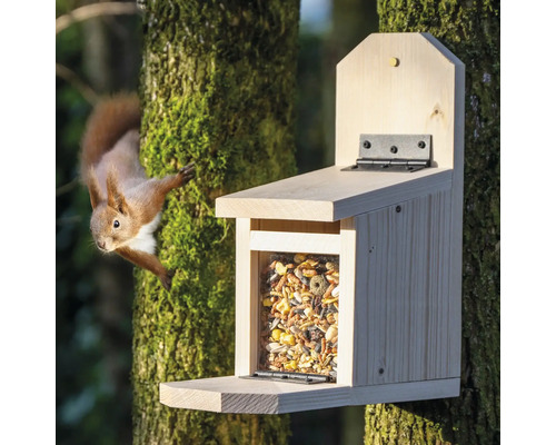 Holz-Futterhaus für Eichhörnchen mit Futter und Eichhörnchen an einem Baum