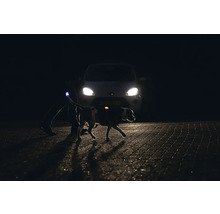 Hund mit Sicherheitslicht und Besitzer bei Nacht