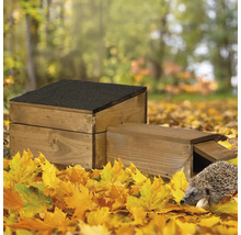 Holz Igelhaus mit Igel in herbstlicher Umgebung