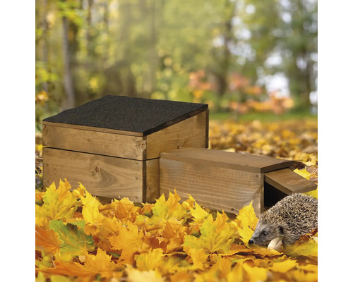 Holz Igelhaus mit Igel in herbstlicher Umgebung