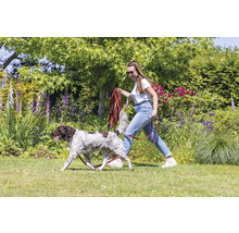 Frau führt Hund an der Leine im Garten aus