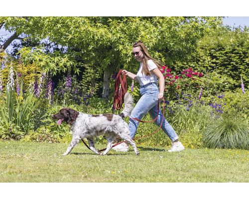 Frau führt Hund an der Leine im Garten aus