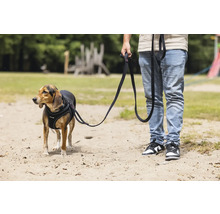 Hund mit Hundegeschirr und Leine auf einer Sandfläche mit einer Person