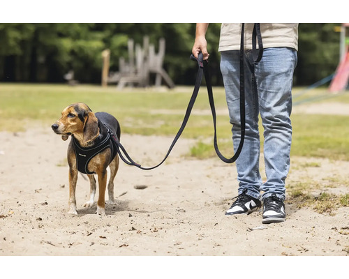 Hund mit Hundegeschirr und Leine auf einer Sandfläche mit einer Person