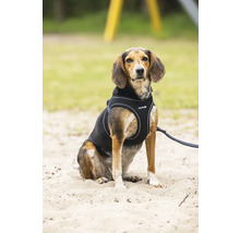 Hund mit Hundegeschirr sitzt im Sand