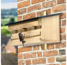 Holz-Vogelhaus an einer Backsteinmauer mit einem Vogel, der davor sitzt und einem anderen im Inneren.