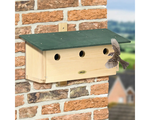 Holzvogelhaus mit drei Öffnungen zur Wandbefestigung