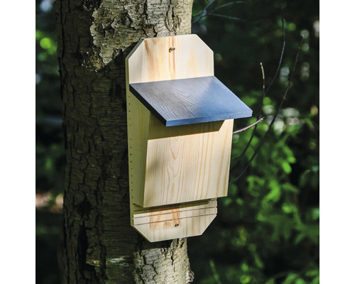 Holz Fledermauskasten an einem Baum befestigt