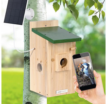 Vogelhaus mit Solarpanel und Smartphone-Ansicht der Vogelfamilie