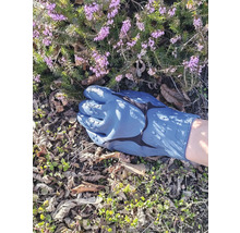 Ein Gartenhandschuh liegt auf dem Boden neben blühenden Pflanzen.