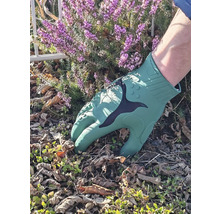 Gartenarbeit mit Gartenhandschuhen im Gartenbeet