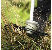 Rasentrimmer schneidet Gras