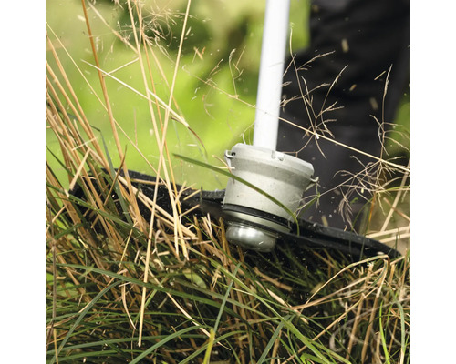 Rasentrimmer schneidet Gras