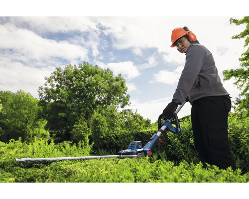 Eine Person mit Schutzhelm und Gehörschutz schneidet eine Hecke mit einer Heckenschere.