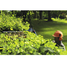 Eine Person mit Sicherheitsausrüstung schneidet eine Hecke mit einer Heckenschere.