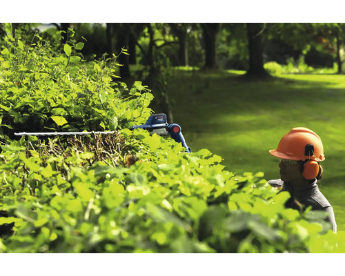 Eine Person mit Sicherheitsausrüstung schneidet eine Hecke mit einer Heckenschere.